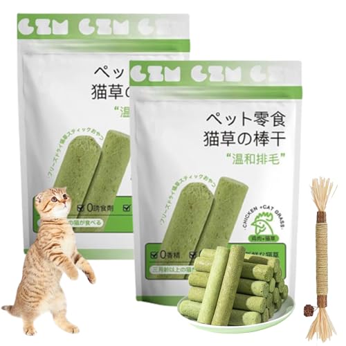 Camic Cat Grass Teething Stick,Cat Grass Chew Stick Grinding Rod,Cats Chew Stick for Indoor Cats and Hairball Removal,Cat Chewing Toys for Cleaning Teeth (2 bags/12 Sticks) von Camic