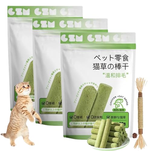 Camic Cat Grass Teething Stick,Cat Grass Chew Stick Grinding Rod,Cats Chew Stick for Indoor Cats and Hairball Removal,Cat Chewing Toys for Cleaning Teeth (3 bags/18 Sticks) von Camic