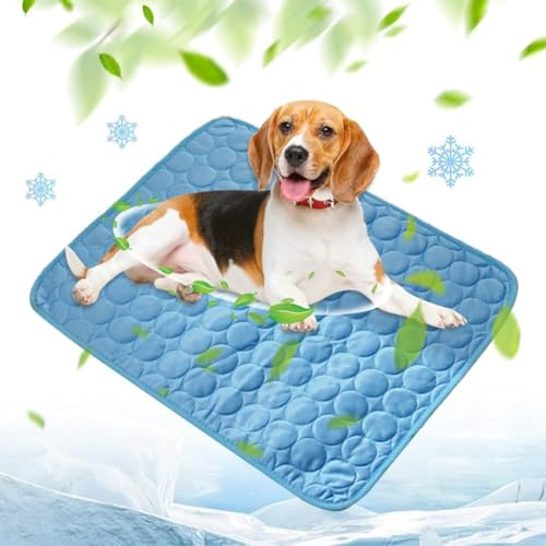 Camic Kühlmatte für Hunde, 2025 Upgrade Groß, Selbstkühlende Haustiermatte aus Eisseide, Kühlbett für Auto, Sofa, Boden, Hundebett, rutschfest, Abriebfest, Bissfest, Waschbar (Blau, XS : 40 * 30cm) Camic Kühlmatte für Hunde, 2025 Upgrade Groß, Selbstkühlende Haustiermatte aus Eisseide, Kühlbett für Auto, Sofa, Boden, Hundebett, rutschfest, Abriebfest, Bissfest, Waschbar (Blau, XS : 40 * 30cm) von Camic