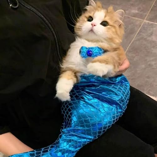 Cat Mermaid Costume, Mermaid Tail for Cats, Cat Mermaid Tail for Cats, Mermaid Costume for A Small Dog Or Cat, Cat Mermaid Fishtail Decoration Clothes, Creative Funny Photo Props (Blue, S(<2kg)) von Camic