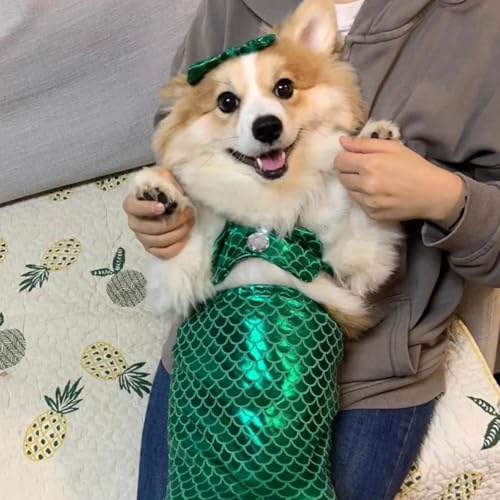 Cat Mermaid Costume, Mermaid Tail for Cats, Cat Mermaid Tail for Cats, Mermaid Costume for A Small Dog Or Cat, Cat Mermaid Fishtail Decoration Clothes, Creative Funny Photo Props (Green, S(<2kg)) von Camic