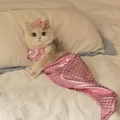 Cat Mermaid Costume, Mermaid Tail for Cats, Cat Mermaid Tail for Cats, Mermaid Costume for A Small Dog Or Cat, Cat Mermaid Fishtail Decoration Clothes, Creative Funny Photo Props (Pink, S(<2kg)) von Camic