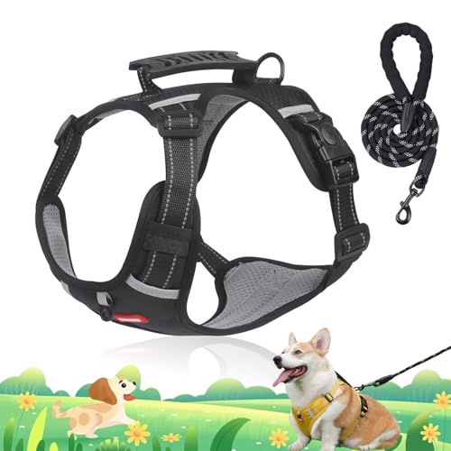 Chewie Cozy Harness, No Pull Dog Harness with Leash Set, Adjustable Dog Vest with Reflective, Escape Proof Dog Harness for Small Medium Large Dogs (Black, XS(5-10kg)) von Camic