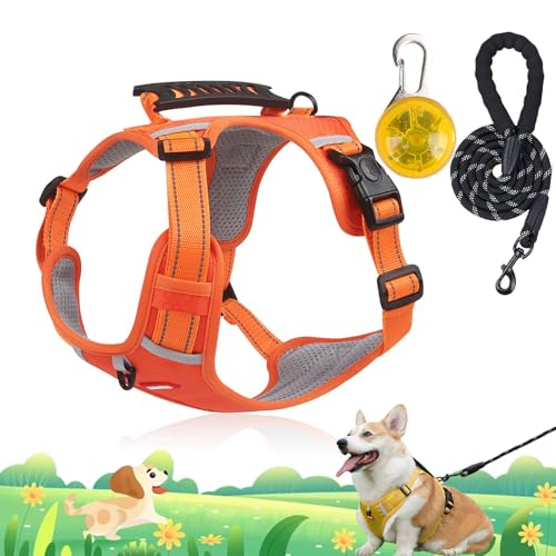 Chewie Cozy Harness, No Pull Dog Harness with Leash Set, Adjustable Dog Vest with Reflective, Escape Proof Dog Harness for Small Medium Large Dogs (Orange+LED Light, XS(5-10kg)) von Camic