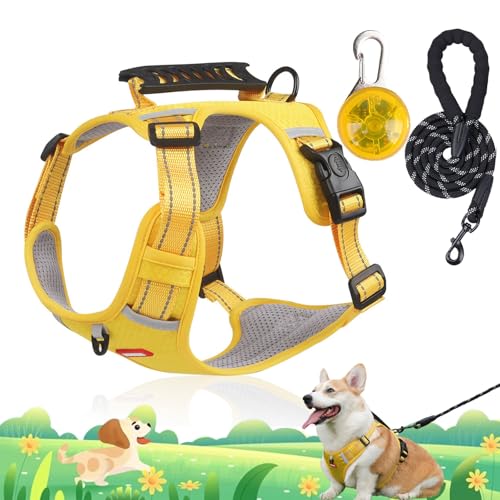 Chewie Cozy Harness, No Pull Dog Harness with Leash Set, Adjustable Dog Vest with Reflective, Escape Proof Dog Harness for Small Medium Large Dogs (Yellow+LED Light, S(8-15kg)) von Camic