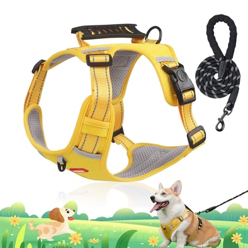 Chewie Cozy Harness, No Pull Dog Harness with Leash Set, Adjustable Dog Vest with Reflective, Escape Proof Dog Harness for Small Medium Large Dogs (Yellow, XS(5-10kg)) von Camic