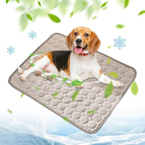 Cooling Mat for Dogs, 2025 Upgrade Large Cooling Pad, Ice Silk Self-Cooling Pet Mat, Cool Bed for Car, Sofa, Floor, Dog Bed, Non-Slip,Abrasion,Bite-Resistant,Washable (Gray, M : 62 * 50cm) von Camic