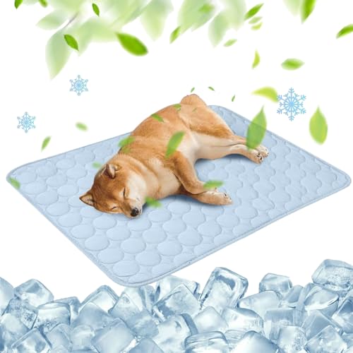 Cooling Mat for Dogs, 2025 Upgrade Large Cooling Pad, Ice Silk Self-Cooling Pet Mat, Cool Bed for Car, Sofa, Floor, Dog Bed, Non-Slip,Abrasion,Bite-Resistant,Washable (Light Blue, L : 70 * 55cm) von Camic