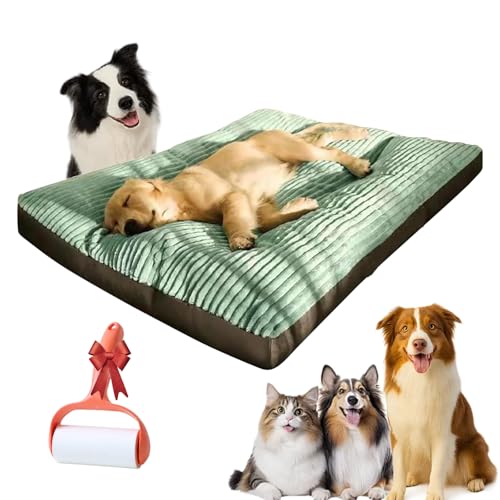 Mondpfote Orthocloud Pro, Ergonomisch Orthopädisches Hundebett, Abnehmbarem Waschbar Bezug & Extra Weicher Polsterung – Ideal für Kleine, Mmittelgroße, Grosse & ältere Hunde (Grün, L (100*75*7cm)) Mondpfote Orthocloud Pro, Ergonomisch Orthopädisches Hundebett, Abnehmbarem Waschbar Bezug & Extra Weicher Polsterung – Ideal für Kleine, Mmittelgroße, Grosse & ältere Hunde (Grün, L (100*75*7cm)) von Camic