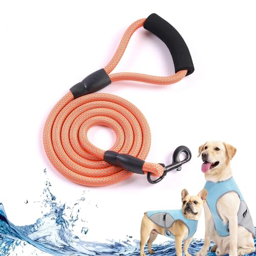 Monelia Kühlweste - Der Hitzeschutz für deinen Hund, Kühlgeschirr für Hunde Klein, Mittelgroßer, Groß, Dog Cooling Vest, Schützt vor Hund Hitzschlag, Sonnenschutz (Orange, Hundeleine) von Camic