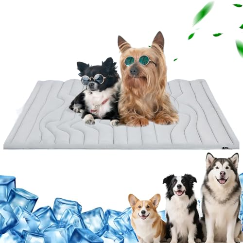 Pfotenchill Kühlmatte Hund, Pfotenchill - The Innovative Cooling Mat for Dogs, Double-Sided Cooling Fabric, Machine Washable, Self-Cooling Bed, Suitable for Home and On The Go (Grau, S) von Camic