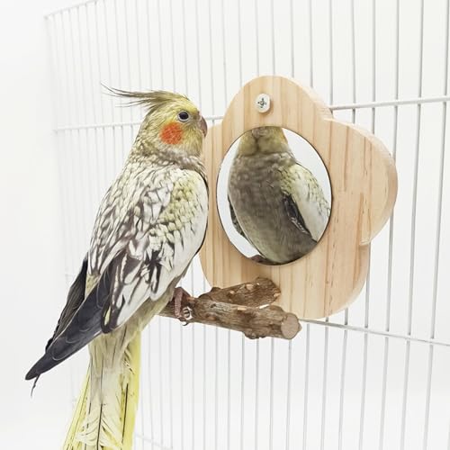 Camidy Bird Mirror with Perch Wooden Perch Bird Cage Stand Toy for Small Parrot Parakeet Cockatiel Lovebird von Camidy