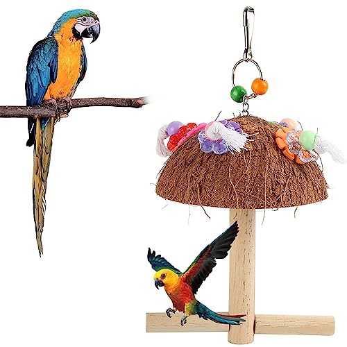 Camidy Bird Parakeet Toy, Parrot Cage Accessories Hanging Coconut Shell Toy for Lovebird Budgerigar Small and Medium Parrot von Camidy