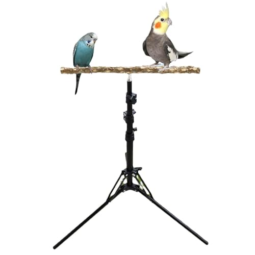 Camidy Bird Perch Stand 15.7-61.8 Inch Height Adjustable, Parrot Training Perch Adjustable Height Natural Wood Parrot Perch Toy, Bird Training Perch Stand for Small to Medium Bird von Camidy