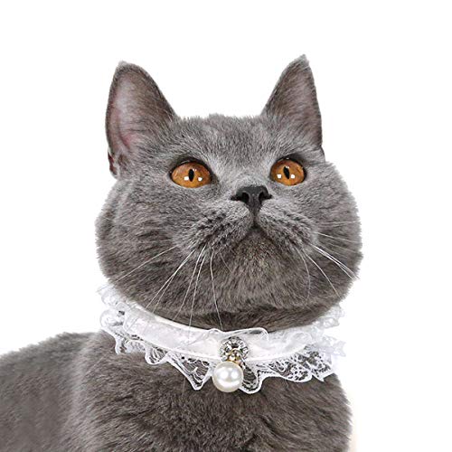 Camidy Haustier Katze Spitze Kragen Elastische Spitze Rüschen Kragen Halsriemen Band Halskette mit Perlen Anhänger für Kätzchen Welpen Hals 22Cm-32Cm von Camidy