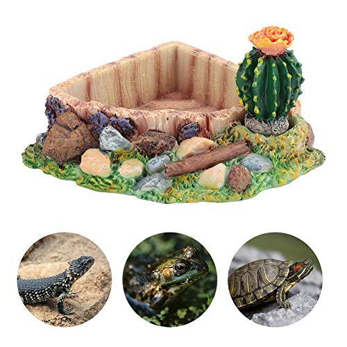 Camidy Haustier Reptilienschildkröte Wasserfütterungsschüssel Schildkröte Eidechse Wasserplatte mit Kaktus Home Aquarium Dekoration von Camidy