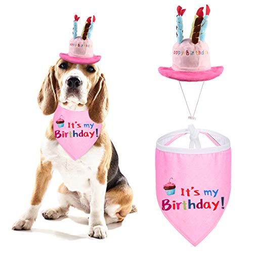 Camidy Hundegeburtstag Bandana Schals Set 2 Stück Haustier Kuchen Hut Dreieck Schal für Hund Geburtstagsfeier Lieferungen Set von Camidy