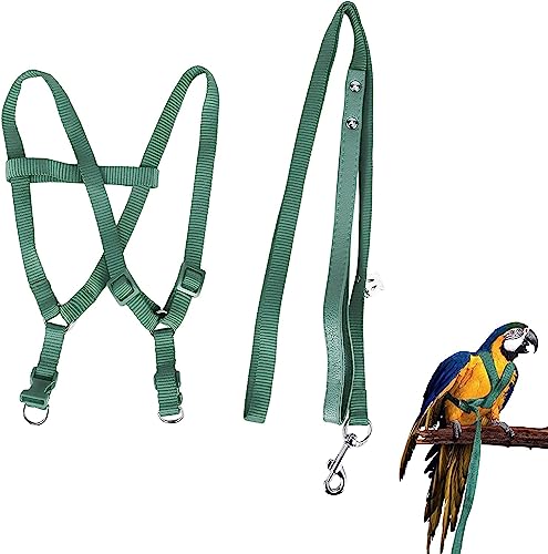 Camidy Verstellbares Vogelgeschirr Und Leinen-Kit Ara-Kakadus-Vogelleine für Papageien Außerhalb des Trainingsspaziergangs für Große Vogelpapageien von Camidy
