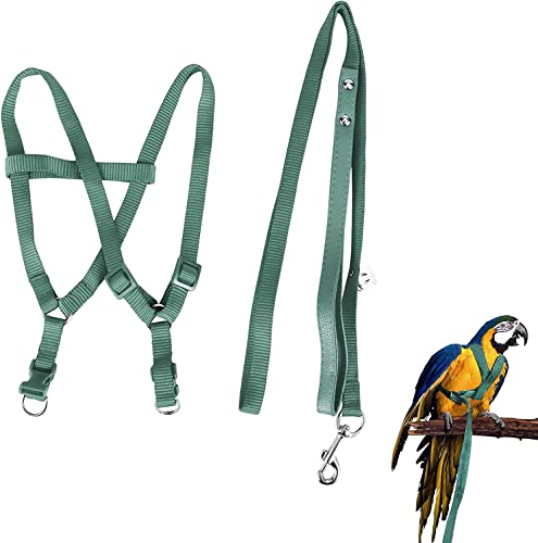 Camidy Verstellbares Vogelgeschirr Und Leinen-Kit Ara-Kakadus-Vogelleine für Papageien Außerhalb des Trainingsspaziergangs für Große Vogelpapageien von Camidy
