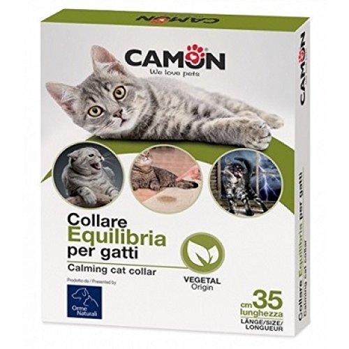 Balance Kragen für Katzen hilft, den Stress Ihrer Katze zu reduzieren von Camon