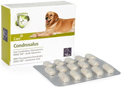 CAMON Chondrosalus Tabletten Packung mit 30 Tabletten von Camon