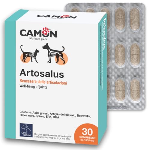 Camon Artosalus G876/A, Packung mit 30 Tabletten Camon Artosalus G876/A, Packung mit 30 Tabletten von Camon