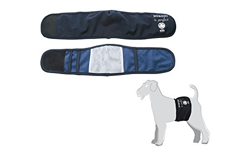 Camon – Band X Hunde männlichen blau TG.XS C220/1 von Camon