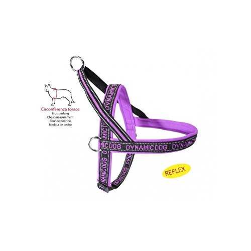 Camon Geschirr aus Neopren Dynamic Lila Größe Brustumfang 45 cm für Hunde Camon Geschirr aus Neopren Dynamic Lila Größe Brustumfang 45 cm für Hunde von Camon