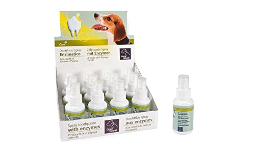 Orme Naturali Spray-Hundezahnpasta mit Ensymen / Hygiene Hunde-Mundspray mit Ensymen (50 ml) von Camon