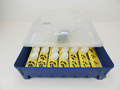 Campo24 Motorbrüter direkt vom Hersteller G ® Incubator Inkubator Brüter Brutmaschine Brutgerät Couverse von Campo24