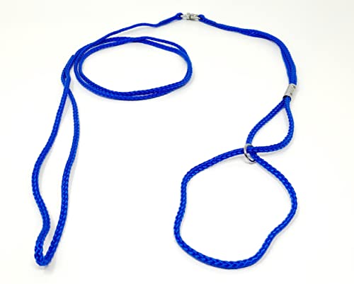 ShowLeine Vorführleine für Hundeausstellung Ausstellungsleine Showleine Nylon für kleine mittelgroße und große Hunde blau 3mm x 120cm ShowLeine Vorführleine für Hundeausstellung Ausstellungsleine Showleine Nylon für kleine mittelgroße und große Hunde blau 3mm x 120cm von Camtiac
