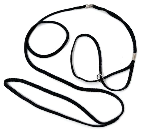 ShowLeine Vorführleine für Hundeausstellung Ausstellungsleine Showleine Nylon für kleine mittelgroße und große Hunde schwarz 5mm x 120cm von Camtiac