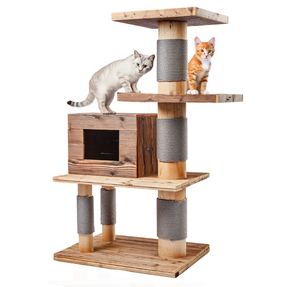 Canadian Cat Company Kratzbaum Woody - braun (2 Pakete*) von Canadian Cat Company