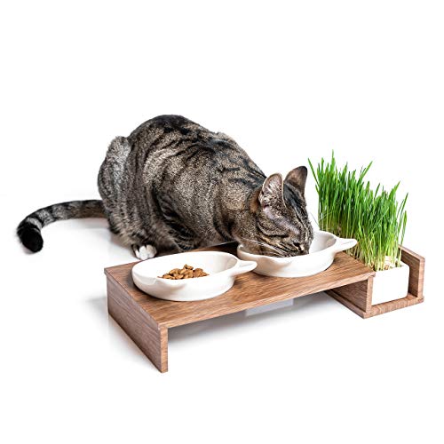 CanadianCat Company | Katzennapf erhöht, Futternapf Katze Cat Diner mit DREI Keramik Näpfen, Ø14,5 cm Fressnapf, Futterschale, Futterstation in Walnuss-Optik von CanadianCat Company