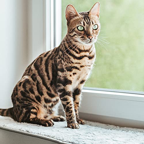 CanadianCat Company | Katzen Fensterliege Liegematte mit Plüschbezug - hellgrau - Größe L - 90 x 28 cm | Katzen Fensterbankliege gepolstert weich für Fensterbank von CanadianCat Company