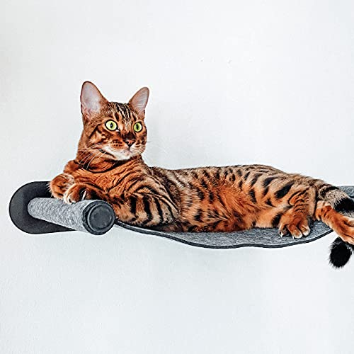 CanadianCat Company | Katzenhängematte aus Filz mit Wandmontage | ca. 65 x 35 x 10 cm | Anthrazit | Kletterwand Liegemulde Wandliege Katzenbett aus Filz von CanadianCat Company
