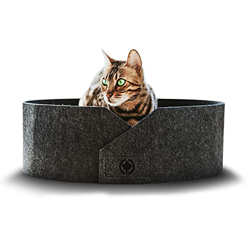 CanadianCat Company | Owen XL 50cm | Filzbett mit Kratzboden für Katzen Anthrazit - Katzenbett mit Wellpappe als Boden von CanadianCat Company
