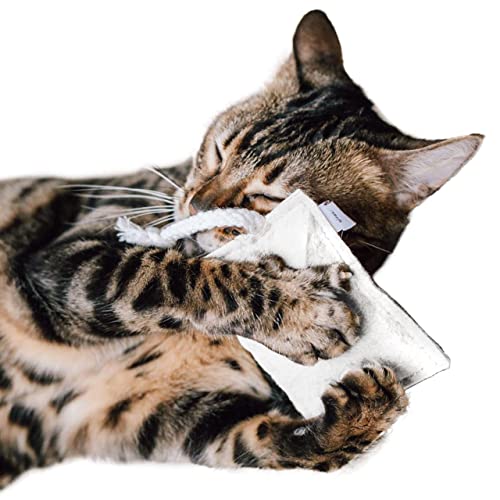 CanadianCat Company | nachhaltiges Katzenspielzeug Schmusekissen mit Seil mit 5g Baldrian Premium Füllung | Faire Handarbeit für Deine Katze | Knuddelkissen für Katzen von CanadianCat Company