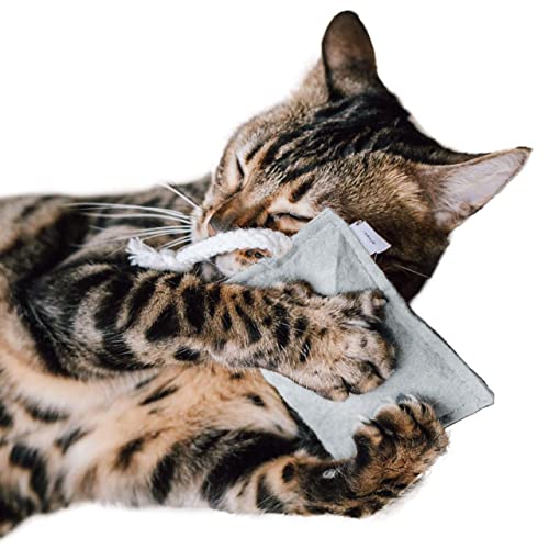 CanadianCat Company | nachhaltiges Katzenspielzeug Schmusekissen mit Seil mit 5g Baldrian Premium Füllung | Faire Handarbeit für Deine Katze | Knuddelkissen für Katzen von CanadianCat Company