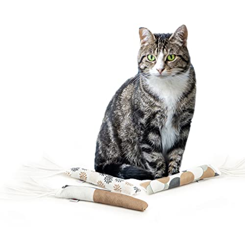 CanadianCat Company | 3er Pack | Spielrolle mit Lederstreifen | 5g Katzenminze Spielzeug für Katzen CanadianCat Company | 3er Pack | Spielrolle mit Lederstreifen | 5g Katzenminze Spielzeug für Katzen von CanadianCat Company