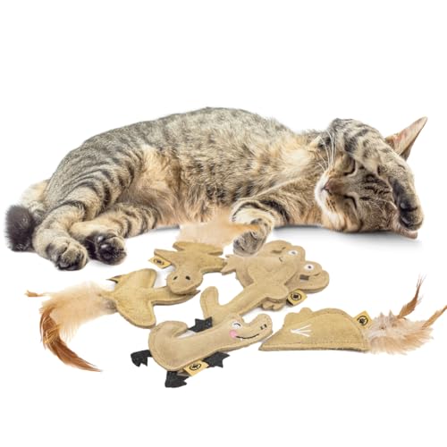 CanadianCat Company | 6er Set Handgefertigte Lederkissen | Spielkissen mit Katzenminze für Katzen, Catnip, Schmusekissen, Spielzeug von CanadianCat Company
