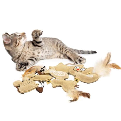 CanadianCat Company | 7er Set Handgefertigte Lederkissen | Spielkissen mit Katzenminze für Katzen, Catnip, Schmusekissen, Spielzeug CanadianCat Company | 7er Set Handgefertigte Lederkissen | Spielkissen mit Katzenminze für Katzen, Catnip, Schmusekissen, Spielzeug von CanadianCat Company