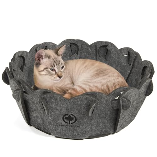 CanadianCat Company | Katzenkorb rund Katzenbett Flower Schlafkörbchen, Katzenkorb aus Filz inkl. Kissen, grau, Ø 42 cm, ca. 48 x 48 x 17 cm CanadianCat Company | Katzenkorb rund Katzenbett Flower Schlafkörbchen, Katzenkorb aus Filz inkl. Kissen, grau, Ø 42 cm, ca. 48 x 48 x 17 cm von CanadianCat Company