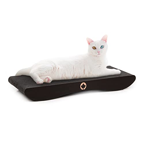 CanadianCat Company | Katzen Kratzbrett Comet | Black Edition - L | ca. 60 x 29 x 7 cm CanadianCat Company | Katzen Kratzbrett Comet | Black Edition - L | ca. 60 x 29 x 7 cm von CanadianCat Company