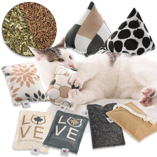 CanadianCat Company | Katzen Schmusekissen- & Spielkissen Pyramiden XL Set, Katzenminze Kräuterfüllung, nachfüllbare Katzen Pyramiden-Kissen, 8er Schmusekissen-Set CanadianCat Company | Katzen Schmusekissen- & Spielkissen Pyramiden XL Set, Katzenminze Kräuterfüllung, nachfüllbare Katzen Pyramiden-Kissen, 8er Schmusekissen-Set von CanadianCat Company