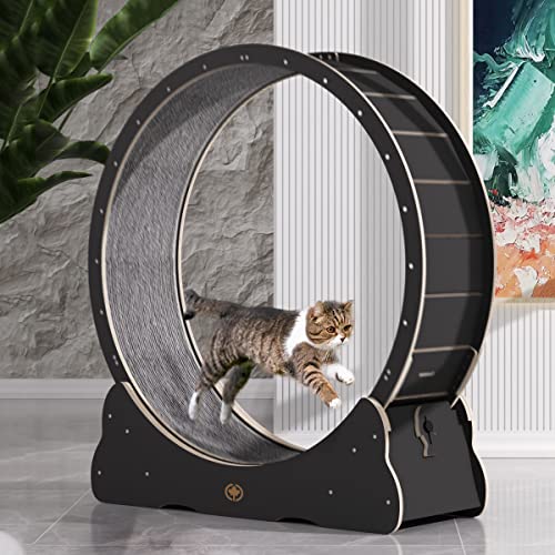 CanadianCat Company | Katzenlaufrad aus Holz - CatInMotion - Spiel- & Trainingsgerät für Katzen | Bausatz Schwarz - XL Ø 120 cm | 132 x 37 x 141,5 cm von CanadianCat Company