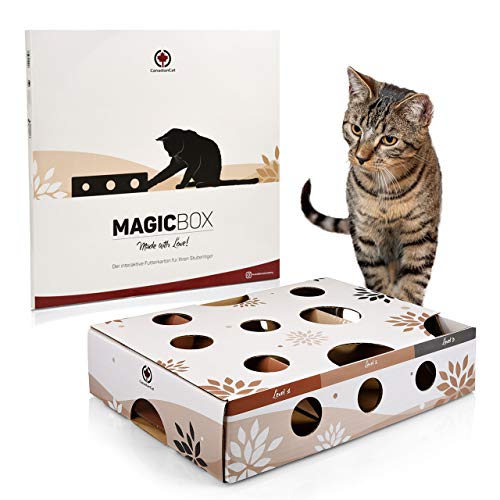 CanadianCat Company | Katzenspielzeug MagicBox | ca. 40 x 30 x 9,5 cm | Activitybox Intelligenzspielzeug Futterspiel Fummelbrett von CanadianCat Company