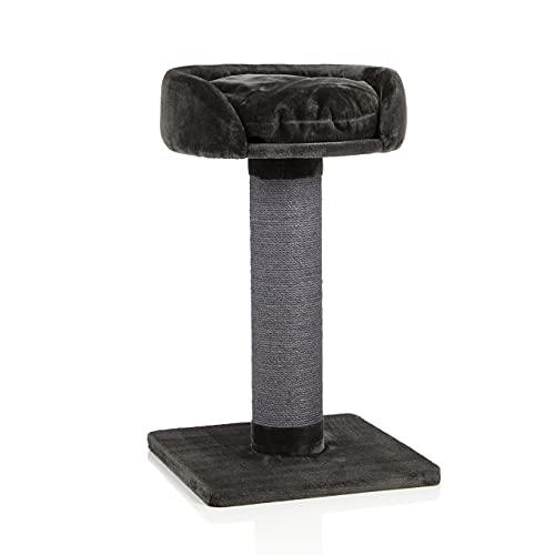 CanadianCat Company | Kratzbaum Savanah 120 - grau - XXL mit Ø ca. 20 cm dicken Sisalsäule Grosse schwere Katzen stabil - Katzenkratzbaum für Maine Coon, Katzenbaum, Kletterbaum, Kratzmöbel CanadianCat Company | Kratzbaum Savanah 120 - grau - XXL mit Ø ca. 20 cm dicken Sisalsäule Grosse schwere Katzen stabil - Katzenkratzbaum für Maine Coon, Katzenbaum, Kletterbaum, Kratzmöbel von CanadianCat Company
