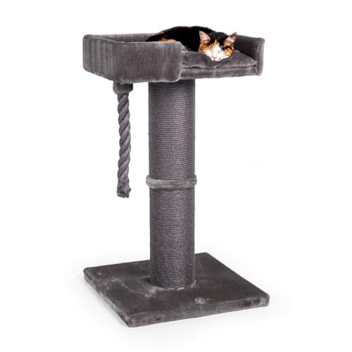 CanadianCat Company | Kratzbaum Watson, Kratzturm mit 18 cm Dicker Sisalsäule, Kratzstamm mit großer Liegefläche, grau, ca. 55 x 55 x 100 cm CanadianCat Company | Kratzbaum Watson, Kratzturm mit 18 cm Dicker Sisalsäule, Kratzstamm mit großer Liegefläche, grau, ca. 55 x 55 x 100 cm von CanadianCat Company