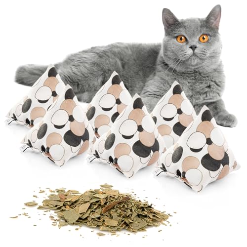 CanadianCat Company | Schmusekissen 6er Set Schmuse-Pyramide XL Kreise mit Katzenminze, Katzenkissen, interaktives Katzenspielzeug CanadianCat Company | Schmusekissen 6er Set Schmuse-Pyramide XL Kreise mit Katzenminze, Katzenkissen, interaktives Katzenspielzeug von CanadianCat Company